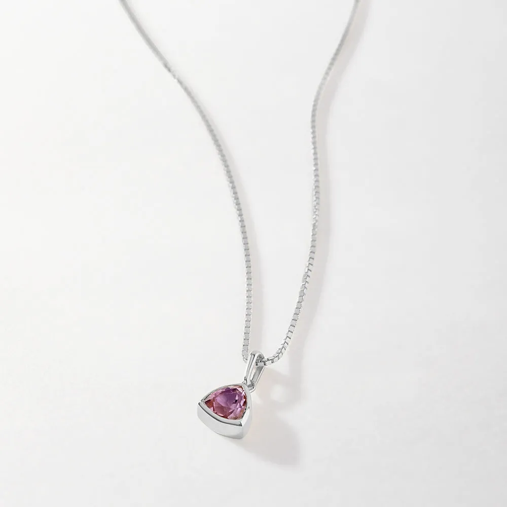 Amethyst February Birthstone Necklace - Silver