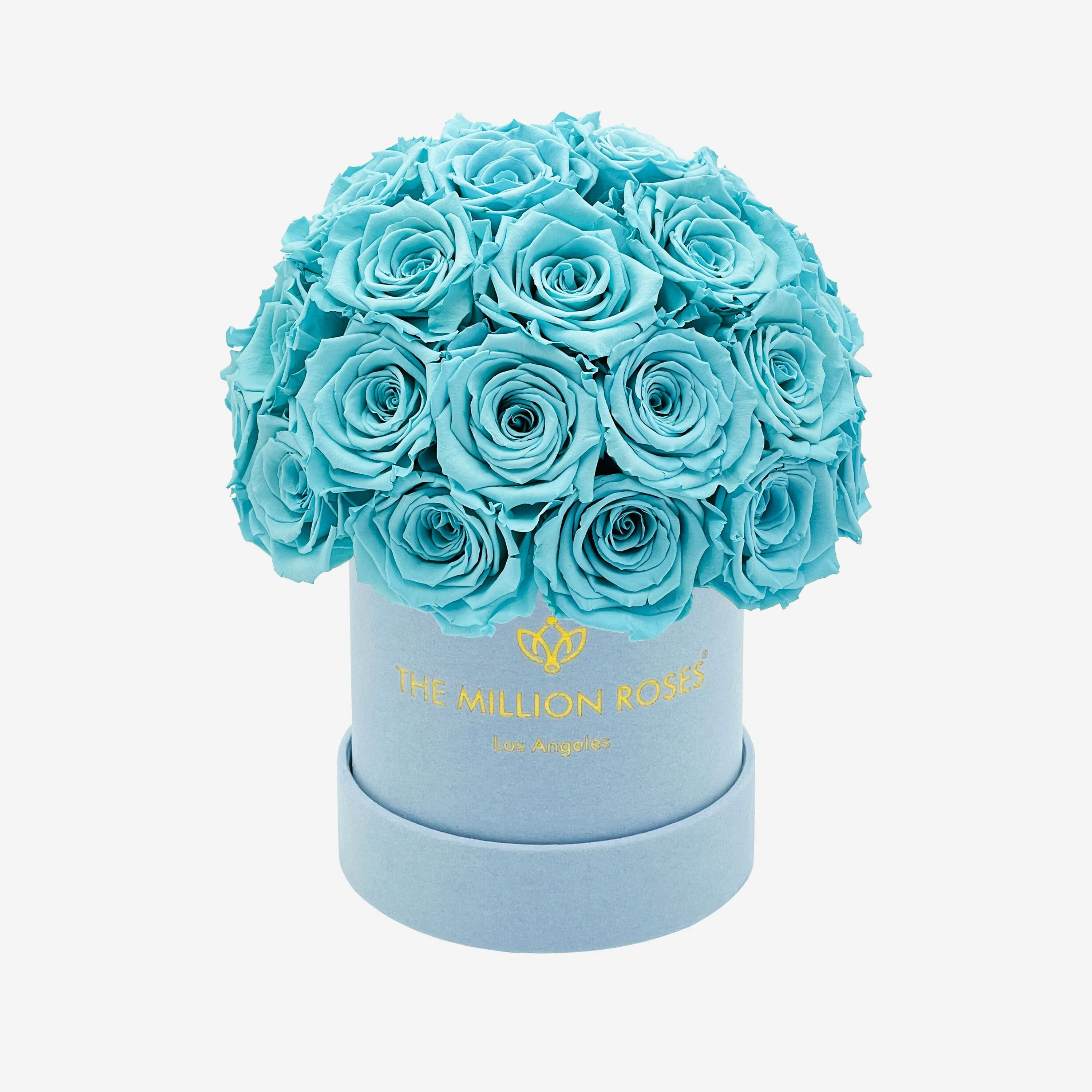 Basic Light Blue Suede Superdome Box | Turquoise Roses