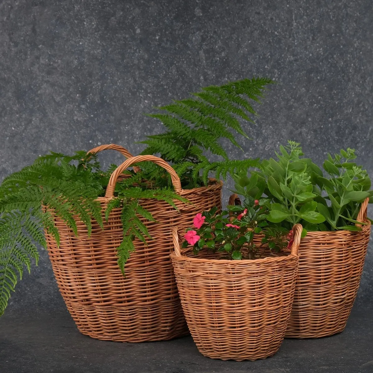 Indoor Planters Made With Wicker From The Willow Tree | Small | Sustainable And Eco Friendly | Handmade In India